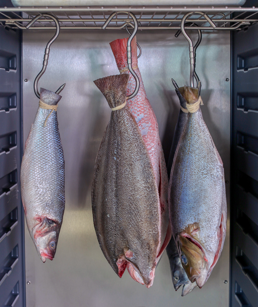 Dry aging fish at the touch of a button